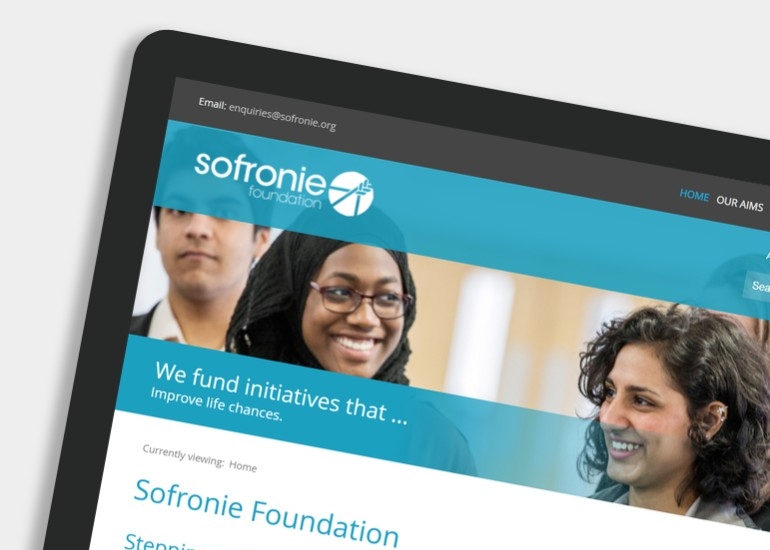 Sofronie Foundation Screenshot 3